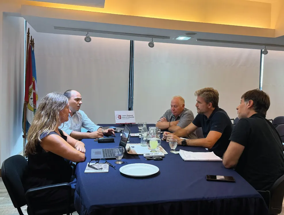 web alejandro faber-13